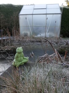 Kas serre greenhouse