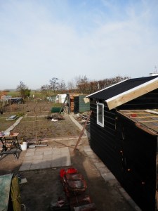 Moestuinblog Moestuinhippie