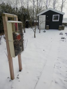Moestuin in de sneeuw.