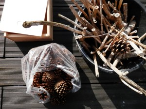 Benodigdheden voor insectenhotel