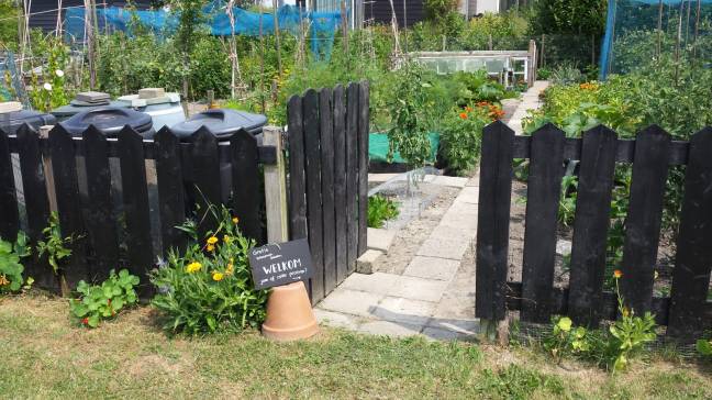 Open Dag VBIV volkstuin