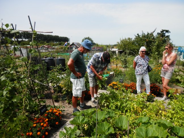 Open Dag VBIV volkstuin