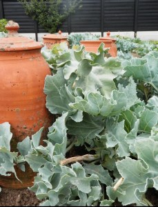 Bleekpotten Villa Augustus