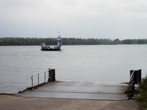 Dordrecht-Biesbosch pontje.