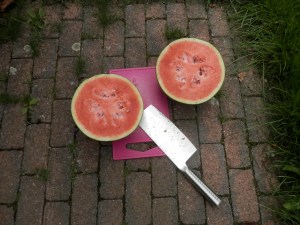 Watermeloen uit de moestuin