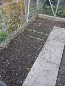 Kas winterklaar maken