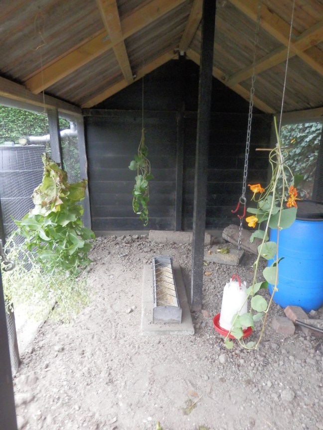 Kippen toevoegen aan de toom