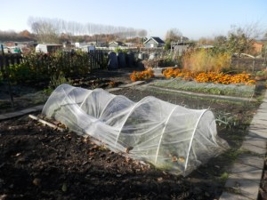 Moestuin winterklaar maken