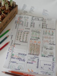 Moestuin teeltplan maken