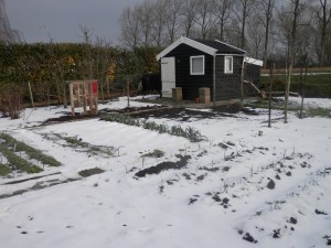 Wintermoestuin