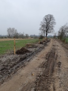 Bomen planten Zwaakse weel