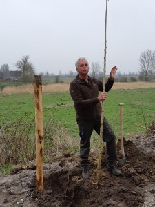Bomen planten Zwaakse weel