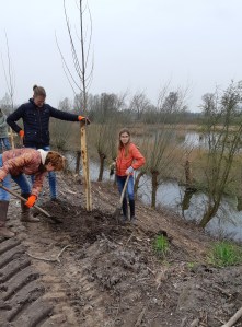 Bomen planten Zwaakse weel
