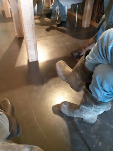 Bomen planten Zwaakse weel