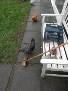 Duurzaamheid. Zelf repareren.