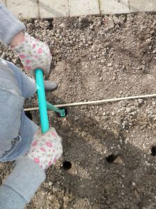 Pootaardappels poten