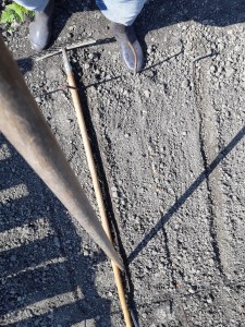 Tips voor het zaaien van wortels