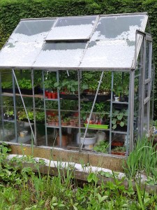 Kas greenhouse