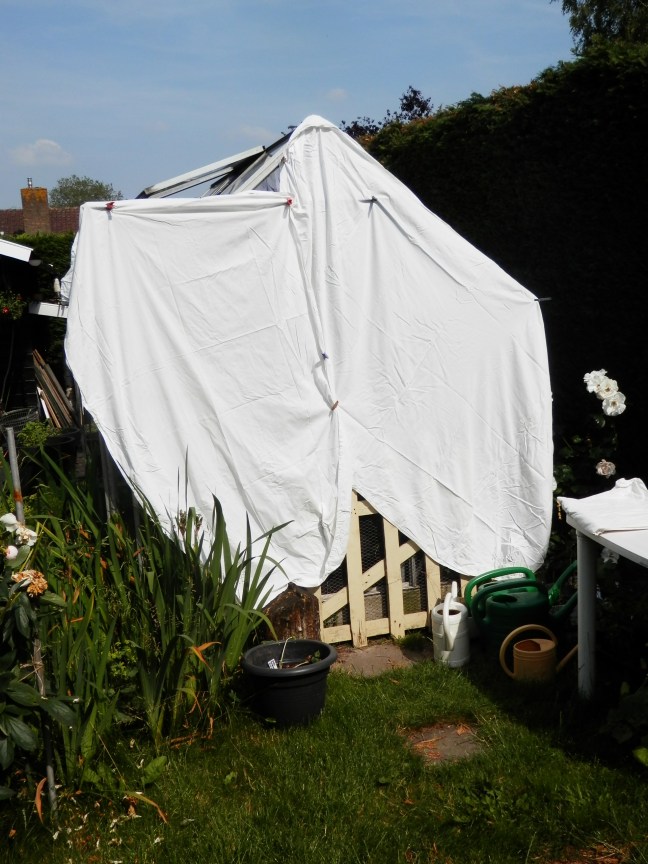 Kas tijdens hittegolf