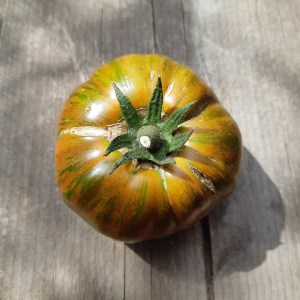 Tomaat Chocolate Stripes