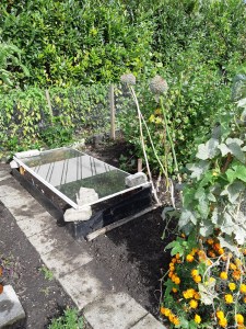 Tuinieren in platte bak