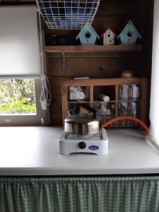 Muizen in de moestuin