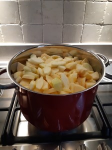 Appelmoes maken