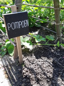 Naambordjes moestuin