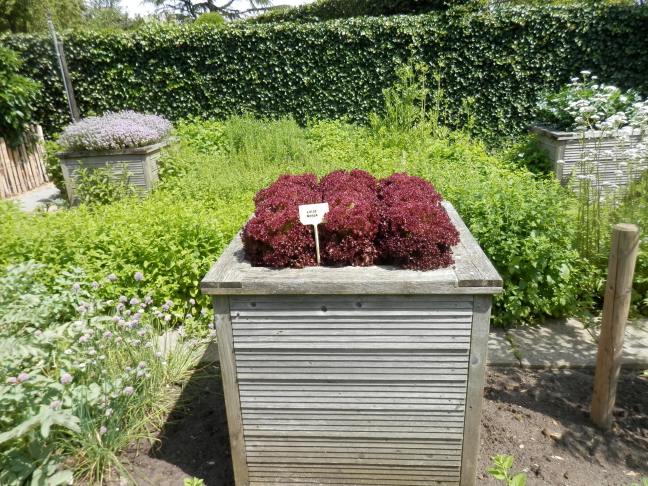 Tuinieren met een beperking