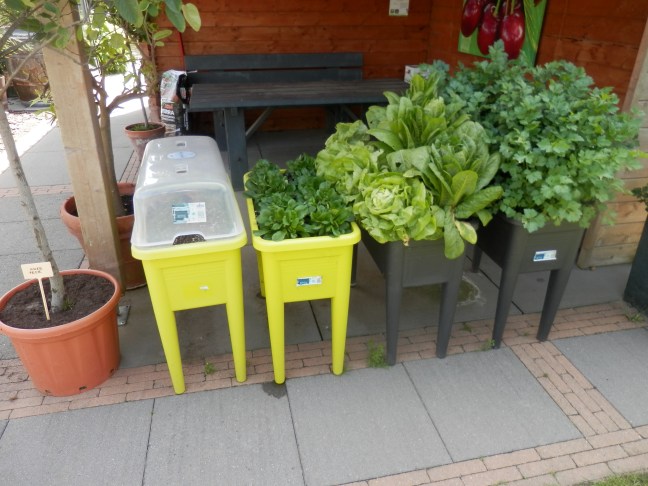 Tuinieren met een beperking