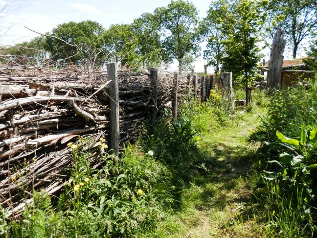 Takkenril takkenmuur takkenwal maken