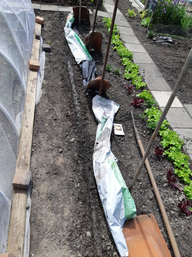 Zaaien tijdens droogte