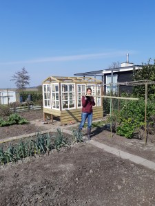 DIY: zelf een tuinkas of serre bouwen