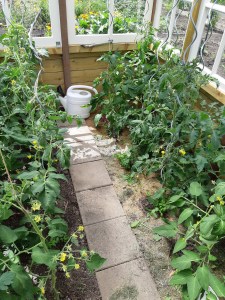 Tomatenblad verwijderen