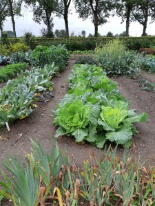 Moestuin Kasteel Doorwerth