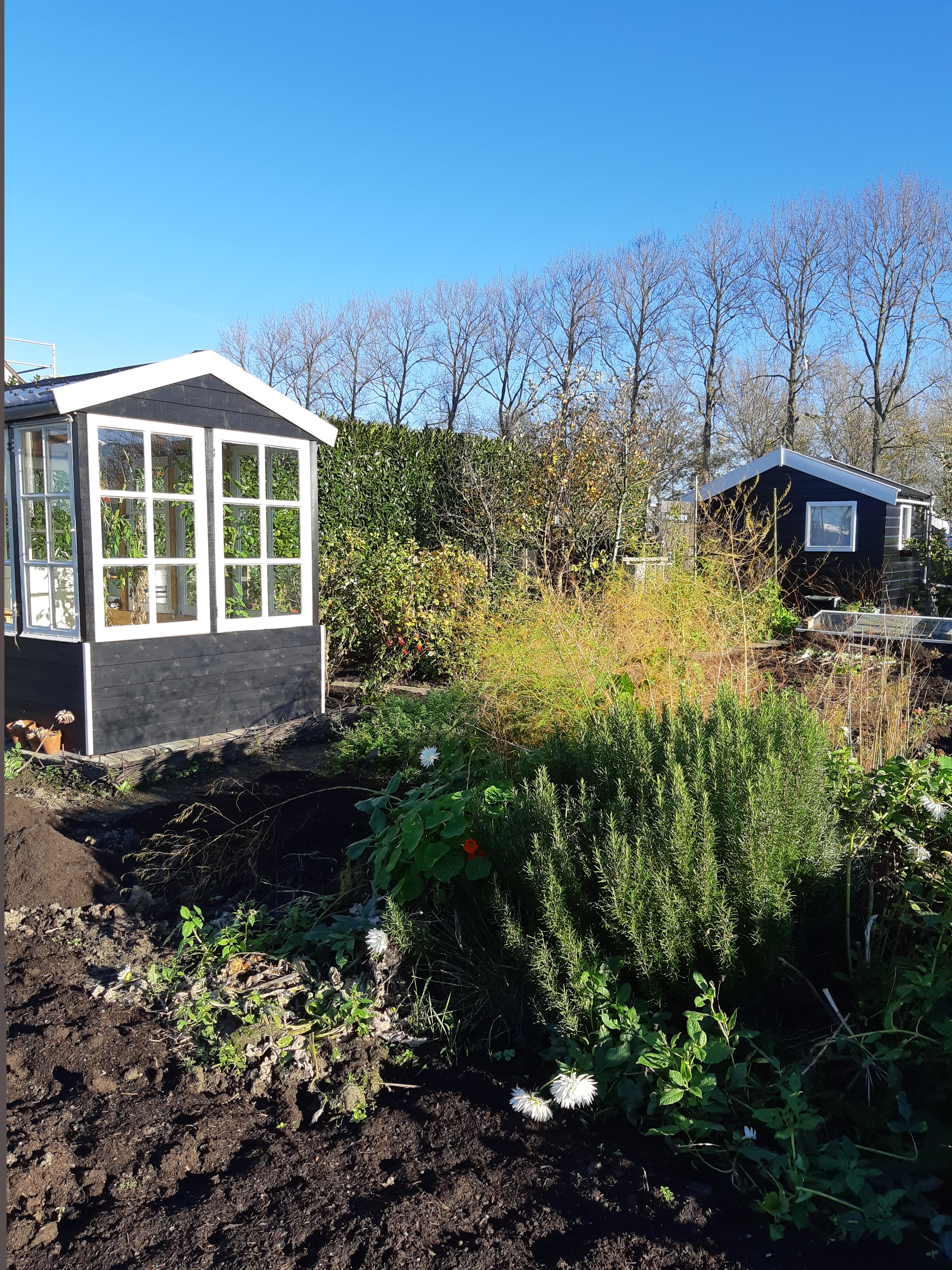 Moestuin in november