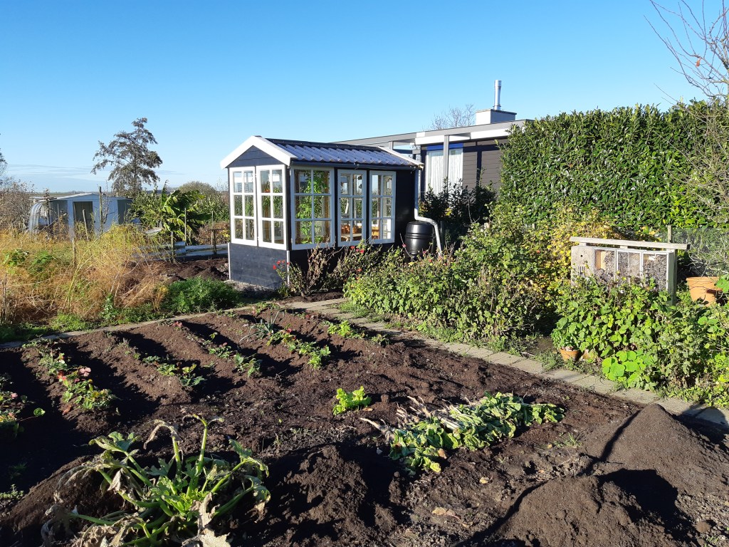 Moestuin in november