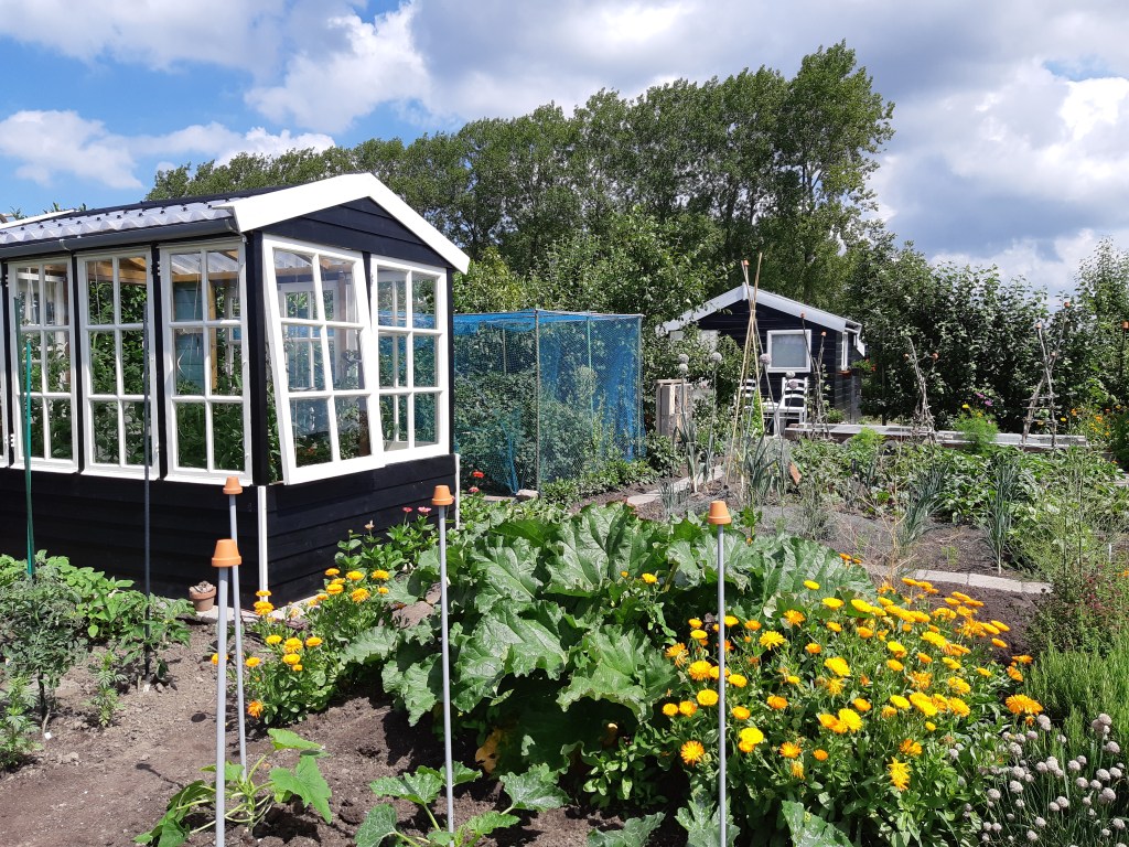 Moestuin Moestuinhippie