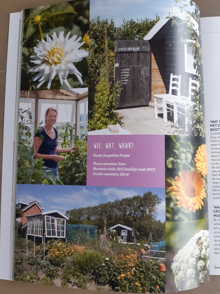 Interview stadstuinieren