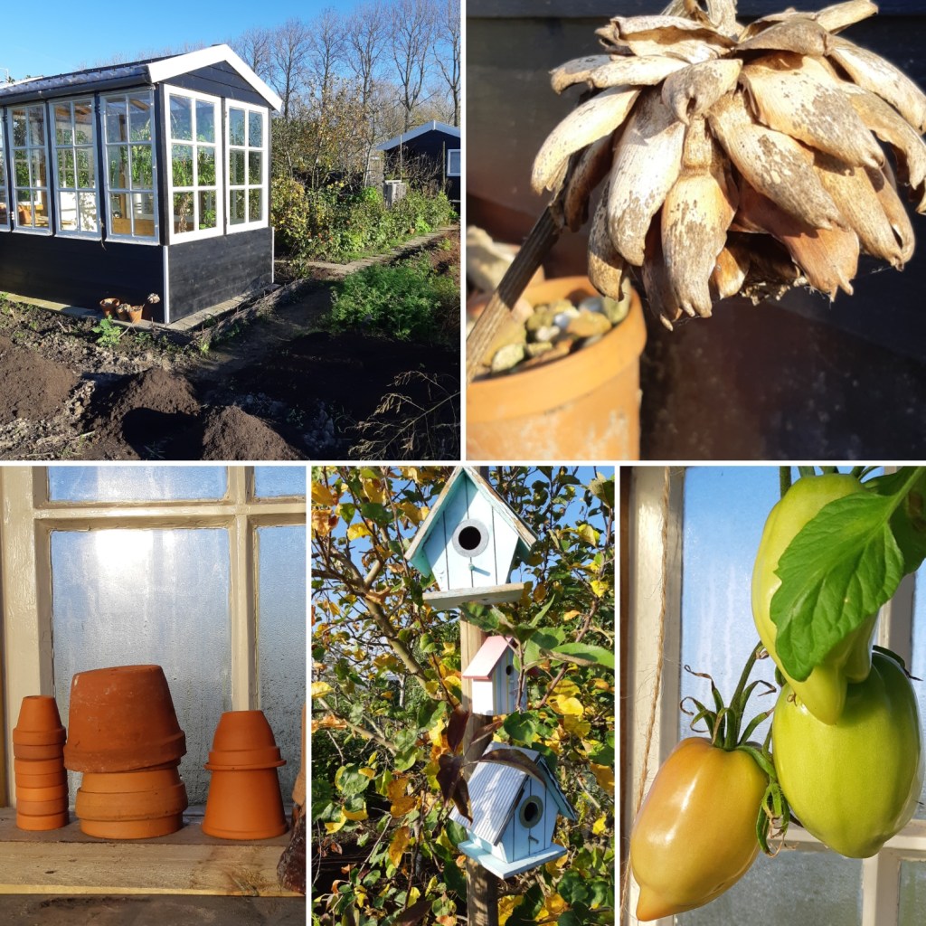 layout moestuinhippie