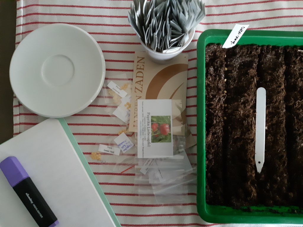 Paprika, peper en aubergine zaaien