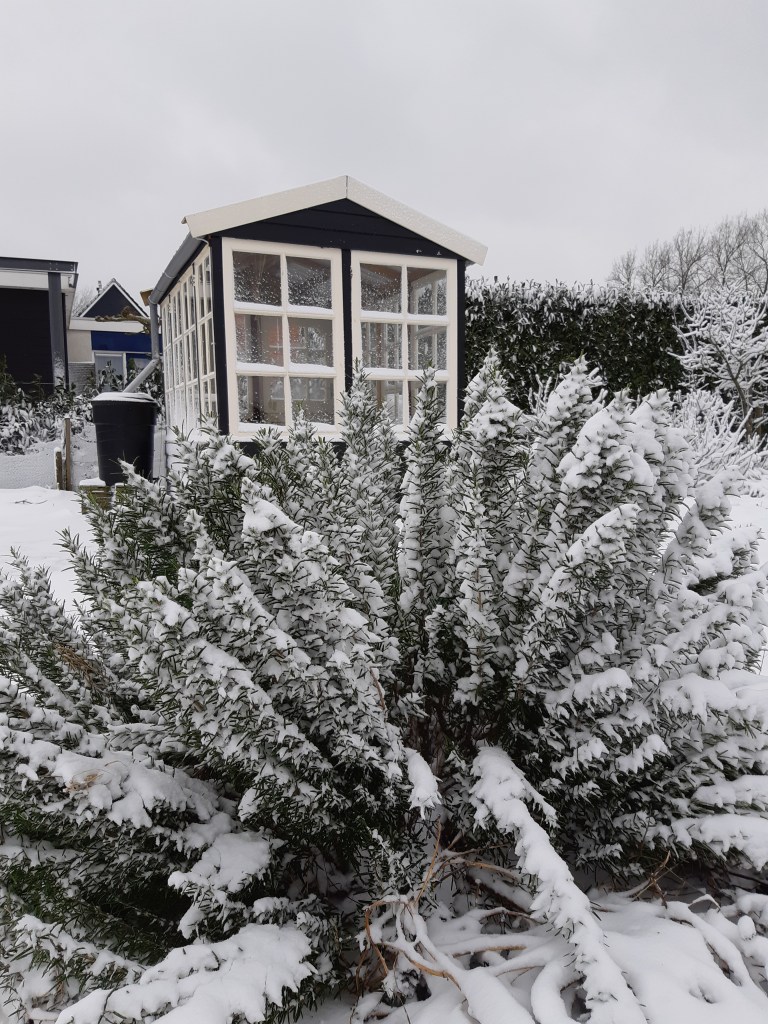 Moestuin en sneeuw