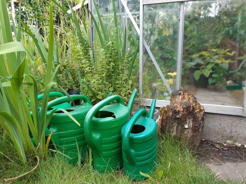 Tuin tijdens vakantie