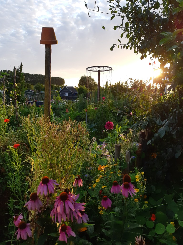 De moestuin in de vakantie