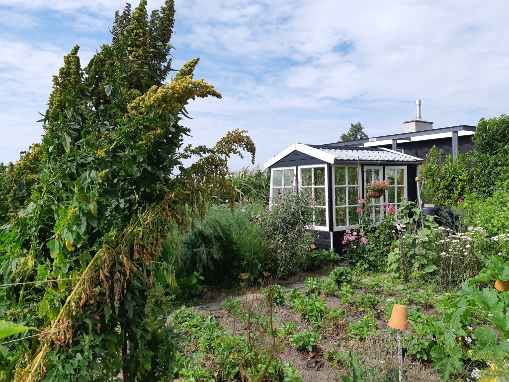 De moestuin in de vakantie
