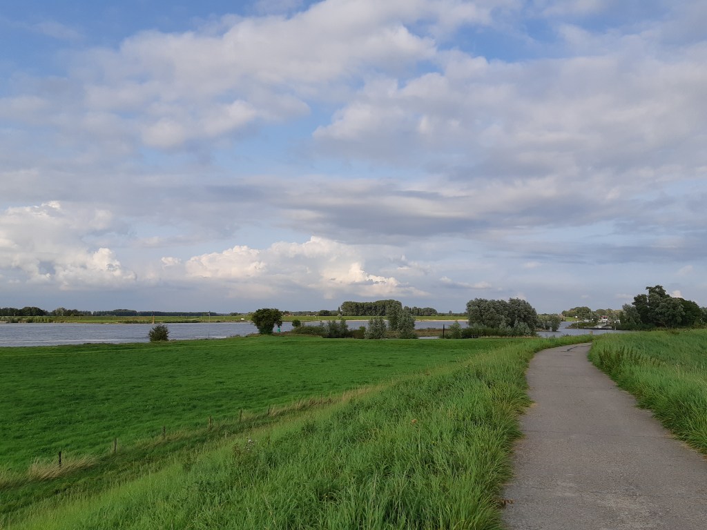 Uiterwaarden Waal bij Brakel