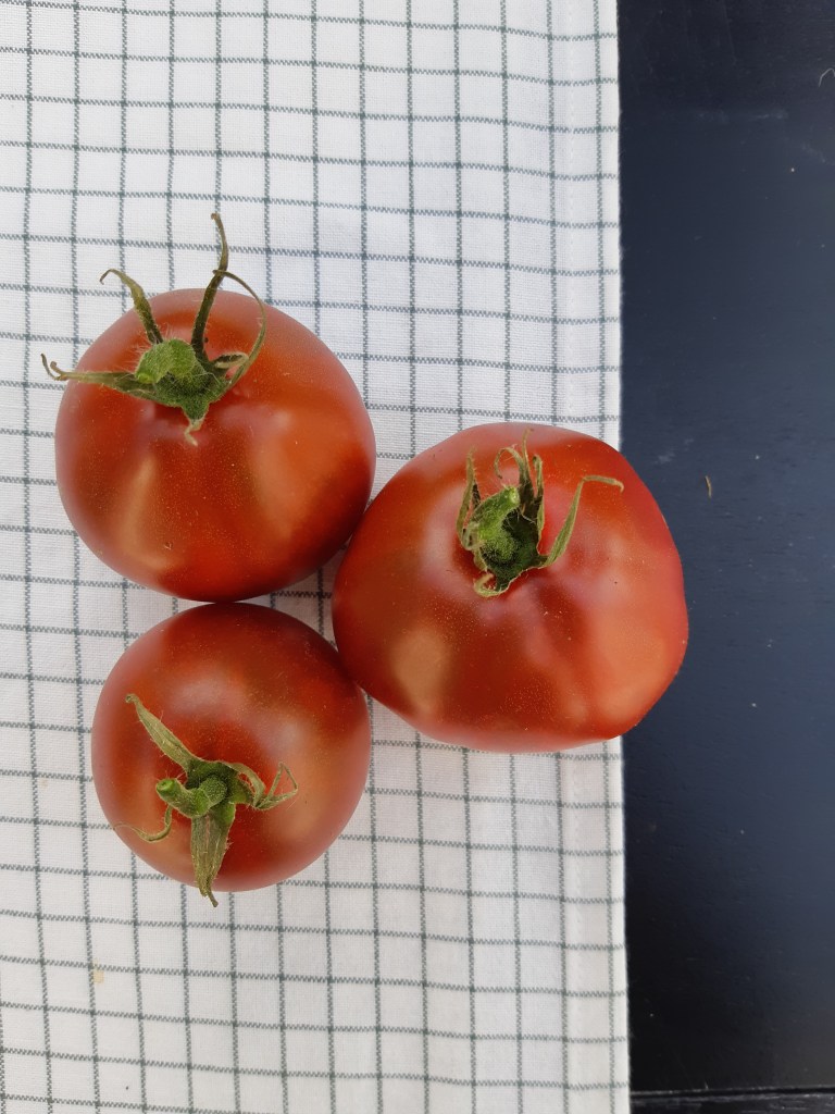 Tomaat Zwarte Truffel