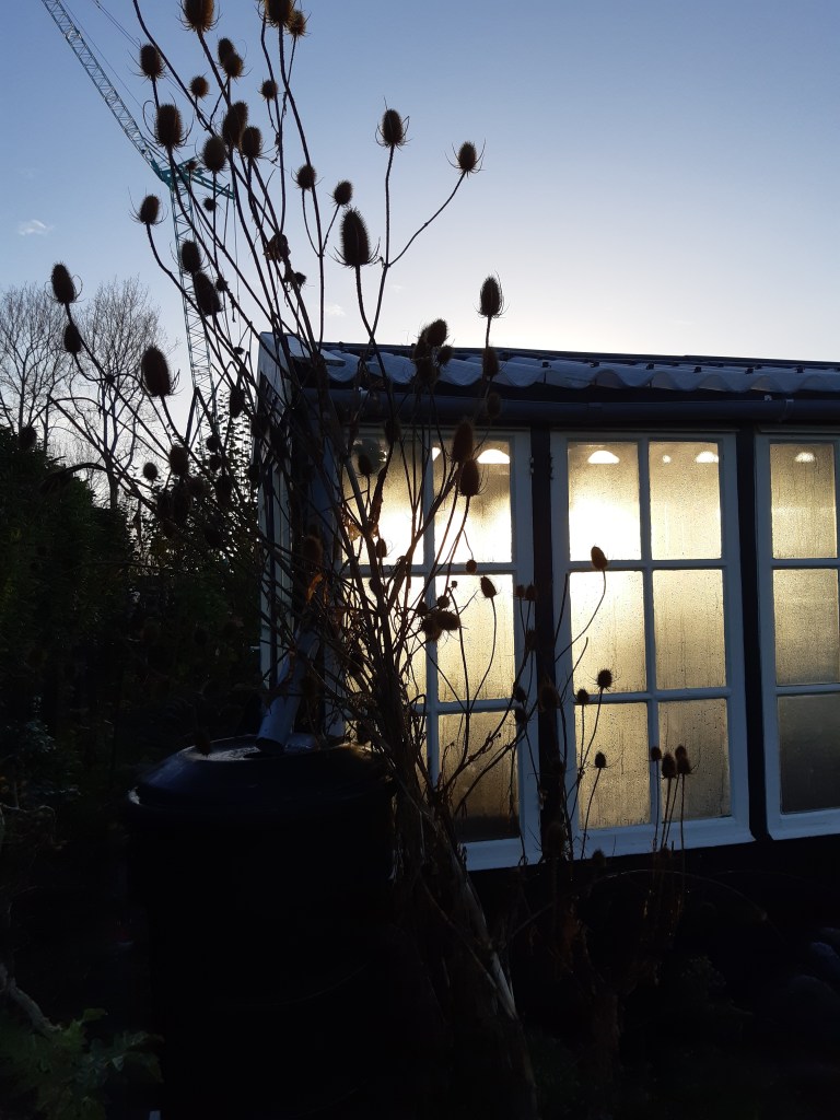 Moestuin december kas serre greenhouse