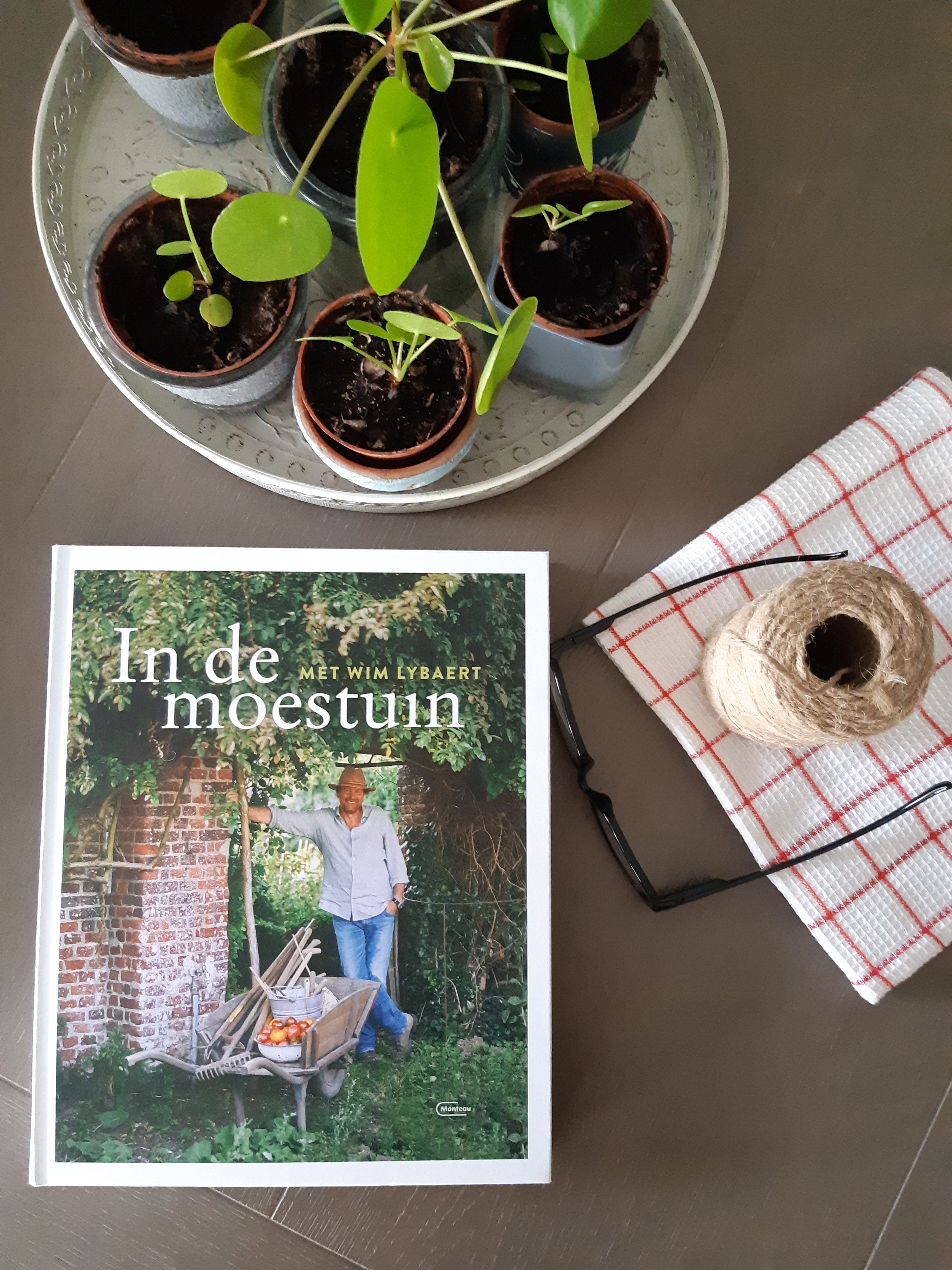 Boek recensie In de moestuin Wim Lybaert