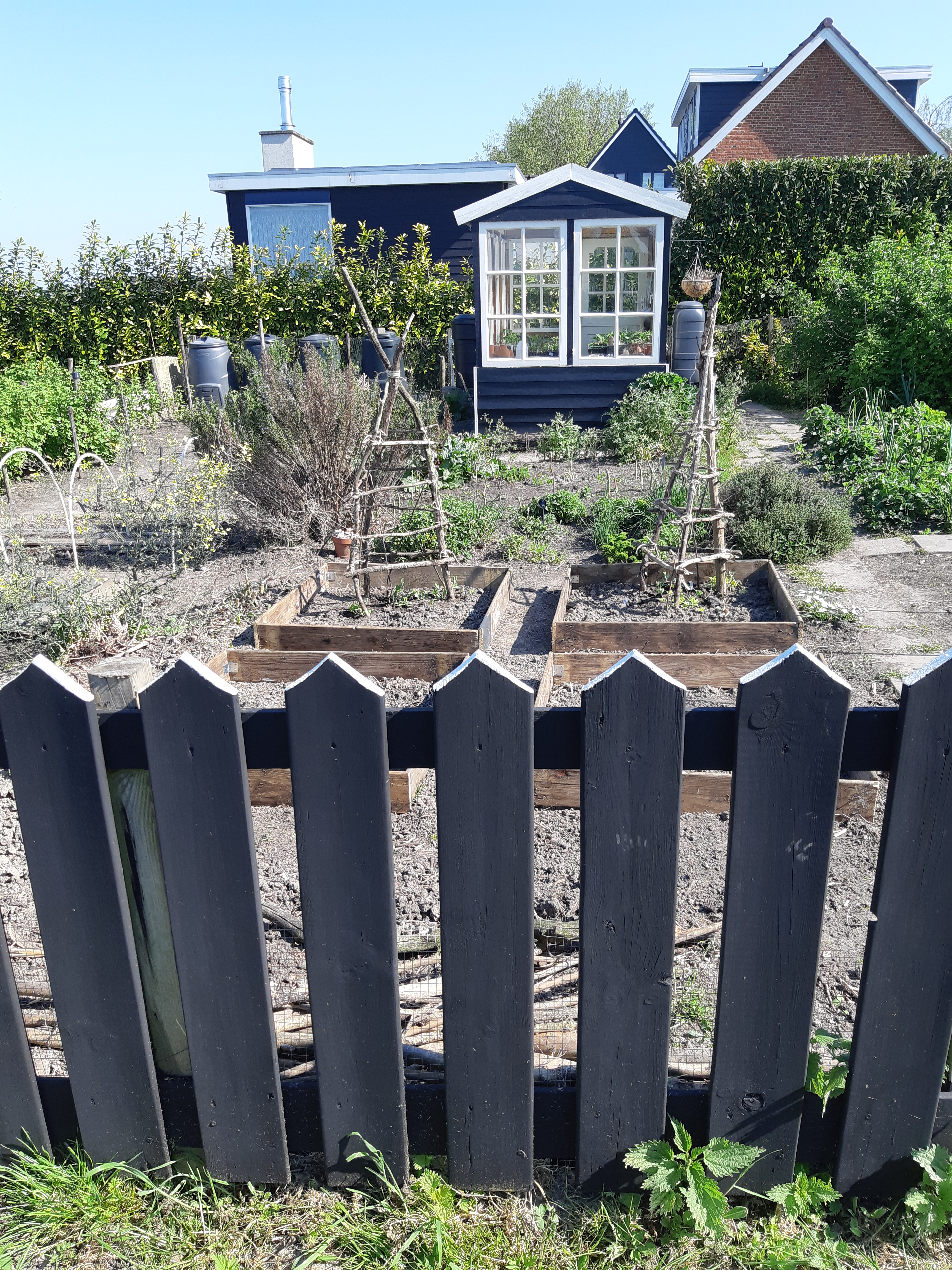 Schilderen verf Moose Färg